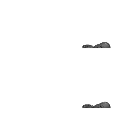 Vector Optics Veyron 6-24x44IR SFP kompakt riflesikte